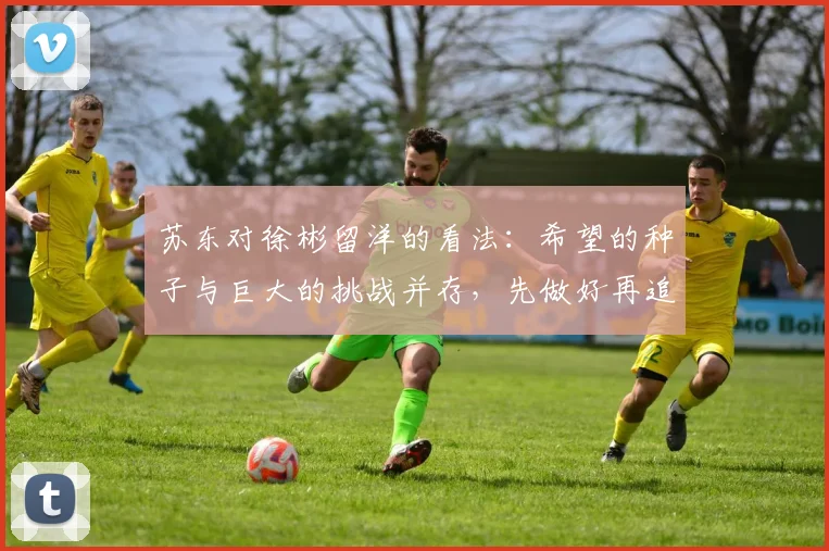 苏东对徐彬留洋的看法：希望的种子与巨大的挑战并存，先做好再追求完美